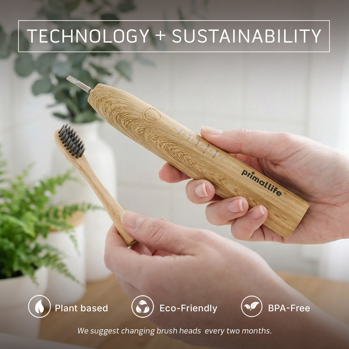 Bamboo Replacement Brush Heads for Sonic Toothbrush